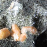 Gmelinita y Natrolita
3 cm. ancho de campo
(Autor: prcantos)