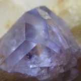 Fluorita
17 mm. ancho de campo
(Autor: prcantos)