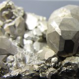 Pirita
2'5 cm. ancho de campo
(Autor: prcantos)