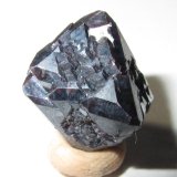 Cuprita
13 x 13 mm. (arista)
(Autor: prcantos)