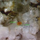 Synchysita-(Ce) y Cuarzo
0´109 x 0´105 mm.
(Autor: Jesus Franquesa Baucells)