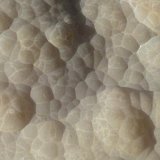 Smithsonita
12 x 6 cm.
(Autor: nerofis2)