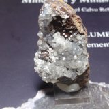Smithsonita
25x50 mm
(Autor: Ignacio)