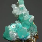 Smithsonita
20x30mm
(Autor: Ramon A  Lopez Garcia)