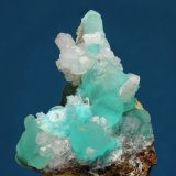 Smithsonita, Hemimorfita
20x30mm
(Autor: Ramon A  Lopez Garcia)