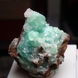 Smithsonita
30x30 mm
(Autor: Ignacio)