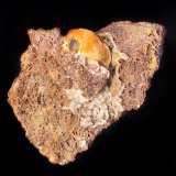 Magnesita
6x4 cm
(Autor: Emilio Téllez)