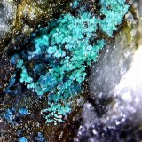 Spangolita.
2´253 x 2´227 mm.
(Autor: Jesus Franquesa Baucells)