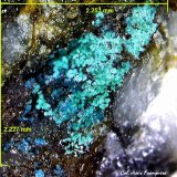 Spangolita.
2´253 x 2´227 mm.
(Autor: Jesus Franquesa Baucells)