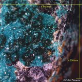 Spangolita.
4´545 x 4´376 mm.
(Autor: Jesus Franquesa Baucells)
