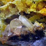 Cerusita y Mimetita
Campo de visión de 10 mm
(Autor: Antonio Carmona)