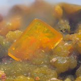 Wulfenita
Campo de visión de 10 mm
(Autor: Antonio Carmona)