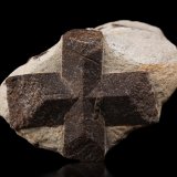 Estaurolita [Staurolite]
10.5 x 14.5 x 8 cm / cristal principal: 10 cm
(Autor: Museo MIM)