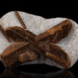 Estaurolita [Staurolite]
9.5 x 5.5 x 3 cm / cristal principal: 7.7 cm
(Autor: Museo MIM)