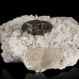 Stibiotantalita en Albita y con Cuarzo
8 x 7 x 5 cm / cristal principal: 2.8 cm
(Autor: Museo MIM)