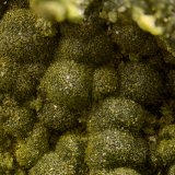 Olivenita
Campo de visión de 2 mm.
(Autor: Antonio Carmona)