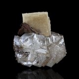 Stolzita
3 x 2.5 x 3.5 cm / cristal principal: 1.9 cm
(Autor: Museo MIM)