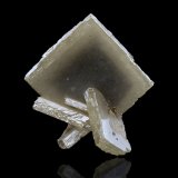 Stolzita
2.5 x 2 x 2.5 cm / cristal principal: 2.4 cm
(Autor: Museo MIM)