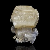 Stolzita
1.5 x 2 x 1.5 cm / cristal principal: 1.4 cm
(Autor: Museo MIM)