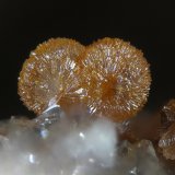 Strengita
1.4mm
(Autor: yowanni)