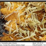 Piromorfita
7 mm. ancho de campo
(Autor: canada)