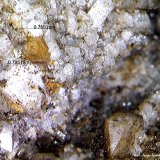 Synchysita-(Ce) y Cuarzo.
0´795 x 0´755 mm.
(Autor: Jesus Franquesa Baucells)
