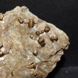 Pirita, Talco
6,2x4,6x2 cm
(Autor: Ander Ispizua Juan)