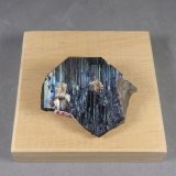 Tantalita-(Mn)
3,7 x 3,2 x 0,8 cm.,  29,82 g.
(Autor: J. G. Alcolea)