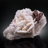 Tantalowodginita en Albita con lepidolita
10 x 6 x 5.5 cm / cristal principal: 2.9 cm
(Autor: Museo MIM)