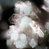 Tapiaita
fov 0.2 mm
(Autor: Foro FMF)