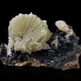 Tarbuttita
10 x 6 x 5.5 cm / Cristal principal: 2.3 cm
(Autor: Museo MIM)