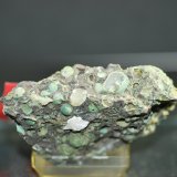 Calcita y Clinoptilolita-Ca
7 cm.
(Autor: Jose Bello)