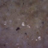 Clinoptilolita, Pirolusita
5 x 5 cm. (detalle)
(Autor: Jose Bello)