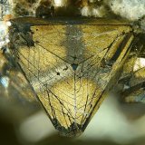 Tetrahedrita con Calcopirita perimórfica
1.3mm
(Autor: yowanni)