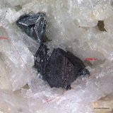 Tetraedrita.
3´917 x 2´286 mm.
(Autor: Jesus Franquesa Baucells)