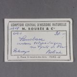 _Etiqueta de la Tetraedrita
(Autor: J. G. Alcolea)