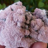 Tetrahedrita
7 x 5 cm
(Autor: nerofis2)