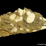 Tinticita
7,5 x 3 x 2 cm.
(Autor: Frederic Varela)