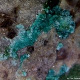 Tyrolita (Tirolita)
3´7 x 3´4 mm.
(Autor: Jesus Franquesa Baucells)
