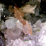 Titanita y Cuarzo.
0´740 x 0´183 mm.
(Autor: Jesus Franquesa Baucells)