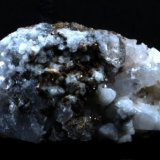 Titanita
22 x 10 x 8 mm.
(Autor: José Luis Zamora)
