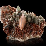 Titanita con Diópsido y Grossularia (variedad hidrogrossularia)
9.5 x 6 x 4 cm / Cristal principal: 2.3 cm.
(Autor: Museo MIM)
