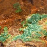 Torbernita
Cristales sobre 1mm
(Autor: Javier MC)