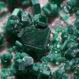 Torbernita
Cristal de 3 mm
(Autor: Javier MC)