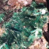 Torbernita
< 1 mm
(Autor: José Luis Zamora)