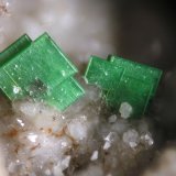Torbernita
FOV 1.2 cm
(Autor: Cesar M. Salvan)