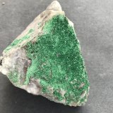 Torbernita
75 x 60 mm
(Autor: Joaquin Blanco Cortina)