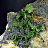 Torbernita
Campo de visión de 30 mm
(Autor: Antonio Carmona)