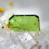 Torbernita
Campo de visión 0,7 mm.
(Autor: Antonio P. López)