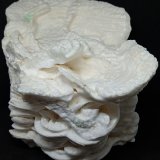 calcita
100x110x120 mm.
(Autor: Luis Edmundo Sánchez Roja)
